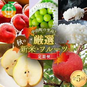 �y�ӂ邳�Ɣ[�Łz ���R���̎����I �R�`�����R�� ���I�H�̐V�āE�t���[�c����� �S5�� �y2026�N8�������J�n�z F4A-0382