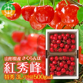 【ふるさと納税】 ≪先行予約≫2024年 山形県産 さくらんぼ 紅秀峰 特秀 3L バラ詰 500gx4 2024年7月上旬から順次発送 露地栽培 果物 くだもの フルーツ 贈答 ギフト 数量限定 産地直送 農家直送 F4A-0399