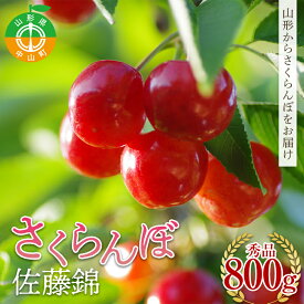 【ふるさと納税】 《先行予約》2024年度発送 山形県産 さくらんぼ 佐藤錦 秀品 800g F4A-0404