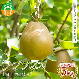 yӂ邳Ɣ[Łz ss\t2025Nx R`Y ƒpEtX5kg F4A-0405