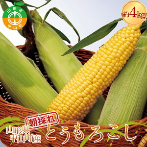 yӂ邳Ɣ[Łz s2026N s\t R` RY Ƃ낱iXC[gR[j 4kgi9`12{j y_z gERV  ₳ F4A-0408