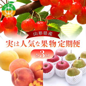 yӂ邳Ɣ[Łz2026Nxy 3zR`Y ͐lCȉʕ  t[c  gG   EtX tX m   Tӂ R` R 