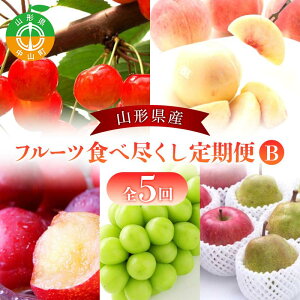 yӂ邳Ɣ[Łz2026Nxy 5zR`Y t[cHאsB  t[c      HP Ԃǂ VC}XJbg EtX t