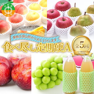 �y�ӂ邳�Ɣ[�Łz2026�N��s�\�� �y����� 5��z �t���[�c�H�אs�������A �� ���� ���� ������ �H�P �V���C���}�X�J�b�g �Ԃǂ� ���E�t�����X �� �m�� ��� �����S�W���[�X �ʕ� �R�`�� ��