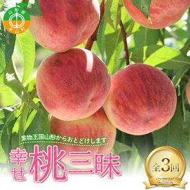 【ふるさと納税】 【定期便 3回】幸せ♪桃三昧 白桃 黄桃 果物 フルーツ 山形県 中山町 F4A-0444