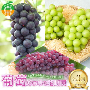 yӂ邳Ɣ[Łz 2026Ns\y 3z炯̒ fEFA X`[x VC}XJbg Ԃǂ  ʕ t[c R` R F4A-0445