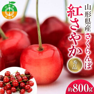 yӂ邳Ɣ[Łz w2026NYstxR`Yځg₩Gi800g LTCYȏ 200g×4P F4A-0453