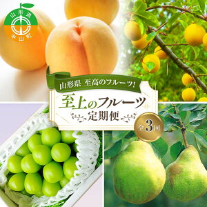 �y�ӂ邳�Ɣ[�Łz�s2026�N8�������J�n�t�R�`�������̃t���[�c����ցI�R�`������̃t���[�c����� �S3�� F4A-0456