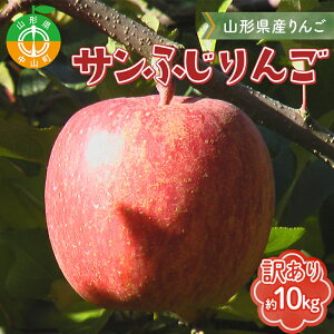 �y�ӂ邳�Ɣ[�Łz�s��s�\��t�y�󂠂�z�R�`���Y�T���ӂ���� ��10kg �s2025�N12����{����菇�������\��t�o������ ��� �����S �ь� �f�U�[�g �t���[�c �ʕ� �������� �ʎ� �H�i �R�`