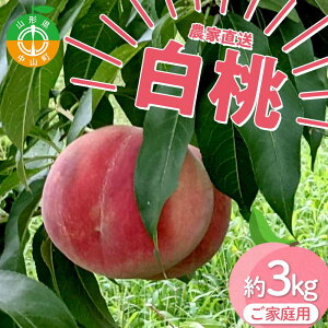 yӂ邳Ɣ[Łz yƒpzߘa8NxY st _ƒuv3kg(6`11) i킨܂ R` R F4A-0471