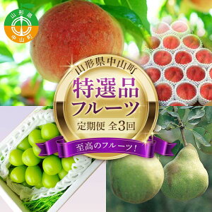 �y�ӂ邳�Ɣ[�Łz 2026�N8�������J�n ��s��t �R�`�� �����̃t���[�c�I �R�`�����R�����I�i�t���[�c����� �S3�� �� �V���C���}�X�J�b�g ���E�t�����X �R�`�� ���R�� F4A-0478