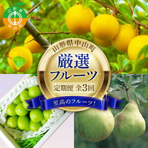 �y�ӂ邳�Ɣ[�Łz 2026�N8�������J�n ��s��t �R�`�� �����̃t���[�c�I �R�`�����R�����I�t���[�c����� �S3�� �� �V���C���}�X�J�b�g ���E�t�����X �R�`�� ���R�� F4A-0479