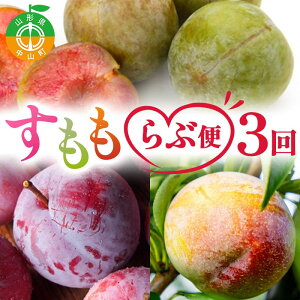 �y�ӂ邳�Ɣ[�Łz �y2026�N ��s�\��z3������ ������ ��ԕ� �ʕ� �������� �R�`�� ���R�� F4A-0484