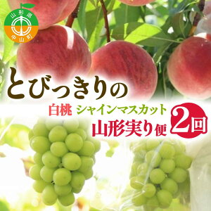 yӂ邳Ɣ[Łz y2026N s\z2 Ƃт `EVC}XJbg` R` Ԃǂ  ʕ  t[cR` R F4A-0486