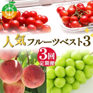 �y�ӂ邳�Ɣ[�Łz 2026�N��s��t �y�����3��z�l�C�t���[�c�x�X�g3 �������� �� �V���C���}�X�J�b�g �R�`�� ���R�� F4A-0489