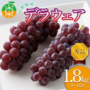 yӂ邳Ɣ[Łz 2026Ns\R`Y fEFA 1.8kg(9`16[) Gi 2026N8{珇 햳 Hׂ₷ Ԃǂ uhE   ʕ t[c ĉʎ ʌ F4A-0529