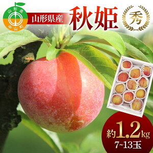 yӂ邳Ɣ[ŁzR`Y HP1.2kg 7`13 G   t[c  X R`Y F4A-0918