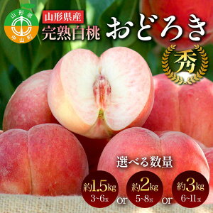 【ふるさと納税】 容量が選べる 山形県産 完熟白桃おどろき 約1.5〜3kg 秀 桃 もも フルーツ果物 くだもの 山形県 中山町 F4A-0919var