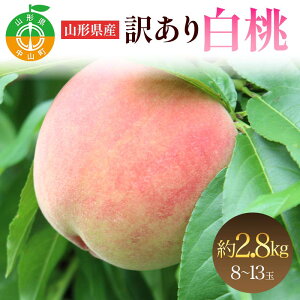 yӂ邳Ɣ[ŁzR`Y 󂠂蔒 2.8kg 8`13   t[c ƒp F4A-0924