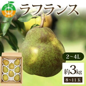 yӂ邳Ɣ[ŁztX3kg 2`4L 8`11 ӂ ʕ  t[c R`Y F4A-0937