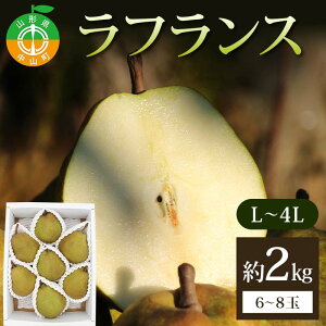 yӂ邳Ɣ[ŁztX2kg L`4L 6`8 ӂ ʕ  t[c R`Y F4A-0939