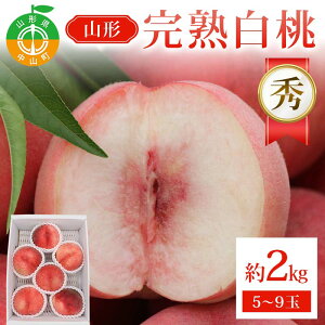 yӂ邳Ɣ[ŁzR`n 2kg 5`9 G n ʕ    t[c R`Y F4A-0943