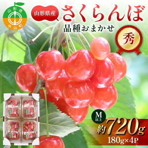 yӂ邳Ɣ[ŁzystzR`Y ږ180g×4pbN i킨܂ MTCYȏ Gi (сEgGE叫) ʕ  t[c ĉʕ TN{ F4A-0945