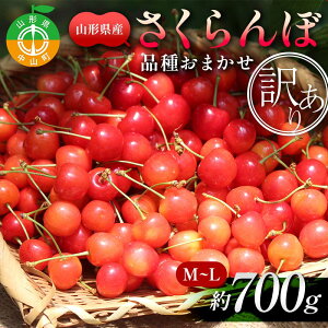yӂ邳Ɣ[Łzystzy󂠂zږ700g M`L (orgG) ʕ  t[c ĉʕ TN{ ƒp p F4A-0946