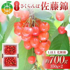 yӂ邳Ɣ[Łzystzڍ 700gi350g×2Pj Lȏ㉻ϔ ʕ  t[c ĉʕ TN{ F4A-0947