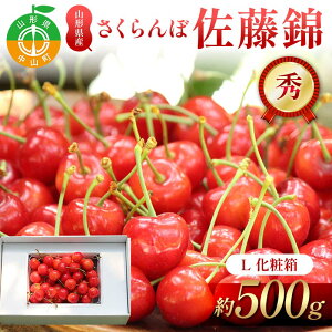 yӂ邳Ɣ[Łzystzڍ 500g L Gϔ ʕ  t[c ĉʕ TN{ F4A-0948