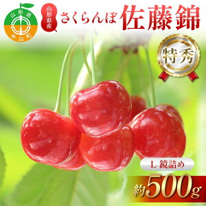 yӂ邳Ɣ[Łzystzڍ 500g L G l ʕ  t[c ĉʕ TN{ F4A-0949
