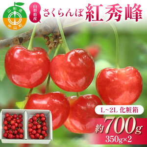【ふるさと納税】【先行受付】さくらんぼ紅秀峰 約700g 350×2 L〜2L化粧箱 果物 くだもの フルーツ 夏果物 サクランボ F4A-0950