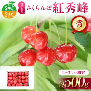 yӂ邳Ɣ[ŁzystzڍgG 500g L`2L G ϔ ʕ  t[c ĉʕ TN{ F4A-0951