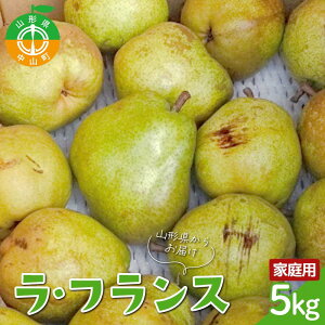 yӂ邳Ɣ[Łzyߘa7NYstzR`YxuEtXv5kg ƒp(󂠂) ʐ܂ ӂ ʕ  t[c R 󂠂 p F4A-0953