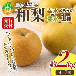 yӂ邳Ɣ[Łzy2026Ns\z_ƒuav2kg R nӃt@[ R`Y  Ȃ iV ʕ  t[c F4A-0954