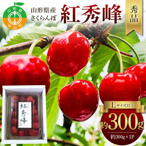 yӂ邳Ɣ[Łzߘa8NYystzR`YځgG􁄏Gi 300g×1P LTCYȏ Ԍ ʌ R`Y TN{ t[c ʕ   F4A-0962