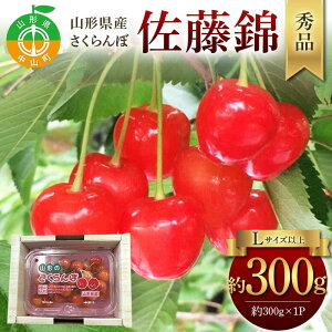 yӂ邳Ɣ[Łzߘa8NYystzR`YځсGi 300g×1P LTCYȏ Ԍ ʌ R`Y TN{ t[c ʕ   F4A-0964