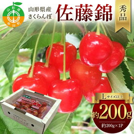 【ふるさと納税】令和9年産【先行受付】山形県産さくらんぼ ＜佐藤錦＞ 秀品 約200g×1P Lサイズ以上 期間限定 数量限定 山形県産 サクランボ チェリー フルーツ 果物 くだもの 贈答 F4A-0965