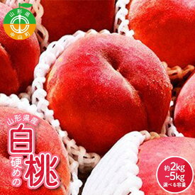 【ふるさと納税】《2026年産 先行受付》量が選べる！山形県産 硬めの白桃 品種おまかせ 果物 くだもの 桃 もも フルーツ 白桃 山形県産 F4A-0971var