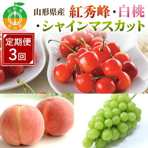 yӂ邳Ɣ[Łz s\ 2026Nxy3zR`YgGEEVC}XJbg F4A-0989