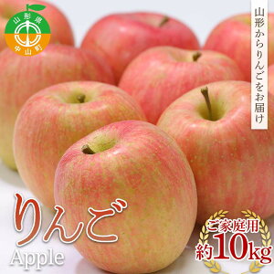 yӂ邳Ɣ[Łz ss\t2026Nx R`Y ƒp10kg F4A-0995