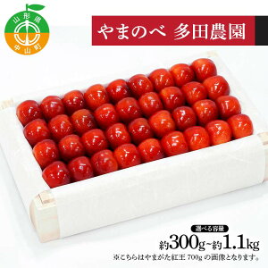 �y�ӂ邳�Ɣ[�Łz�_�I�ׂ�e�ʁ^ �s��s�\��t2026�N �R�`���Y ��܂����g�� ���I�˔��l ��300g 500g 700g 1100g ��܂̂ב��c�k���Y�̂������� F4A-0999var