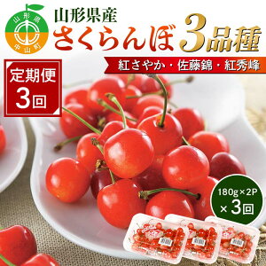 yӂ邳Ɣ[Łz s\ 2026NxyR`ڒ3zR`Y3iig₩EсEgGj F4A-0386