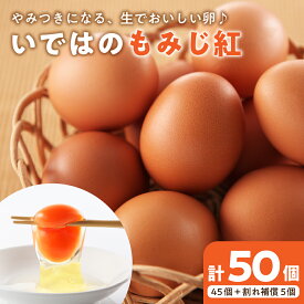 【ふるさと納税】たまご 50個 入り（破損補償5個を含む）新鮮うみたて【ブランド 卵 いではのもみじ紅 】 河北 町 半澤 鶏卵 送料無料 山形 県 黄身 白身 弾力 濃厚 産みたて たまごかけ 卵かけ ごはん ご飯 TKG 親子丼 オムレツ 朝食 美味しい 栄養 たんぱく質