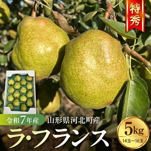 yӂ邳Ɣ[Łz ߘa7NY EtX 5kg (14ʁ`16) G | ͖kY tX m m t[c ʕ  蕨 Mtg  Yn R`