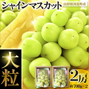 yӂ邳Ɣ[Łz 嗱 VC}XJbg 2[ 700g | R`Y Ԃǂ Ԃǂ }XJbg t[c ʕ  Yn R` ͖k