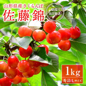 yӂ邳Ɣ[Łzyߘa8NYẑ聕oׁIC`_Ƃ̒̂肳ځuсvGi 1kgi500g×2pbNjol R`͖kYy͖kόYzTN{ t