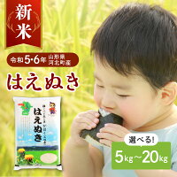 【ふるさと納税】【令和5年 6年産】発送時期が選べる はえぬき 5kg 1...