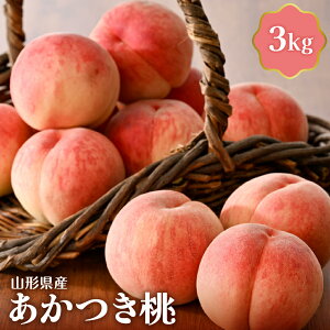 yӂ邳Ɣ[Łzyߘa8NYz   3kg  Y R`   s[` t[c ʕ ʓ  ① Yn  O  k R` ͖k yJAR