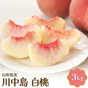 yӂ邳Ɣ[Łz_]4.25^yߘa8NYz 쒆  3kg |  Y  s[` ① t[c ʕ ʓ  {  R` Yn  s\ k R` ͖k